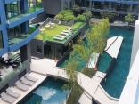 Acqua Condo Pattaya - Цена от 2,900,000 бат;  (Аква Кондо Джомтьен) - купить квартиру в Паттайе, цена продажи, скидки