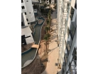 Arcadia Beach Resort - 2561-02 อัพเดท การก่อสร้าง - 4