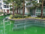 The Feelture Pattaya - Цена от 1,850,000 бат;  Кондо На-Джомтьен - купить квартиру в Паттайе, цена продажи, скидки