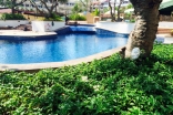 Panchalae Boutique Pattaya Кондо Джомтьен - купить квартиру в Паттайе, цена продажи, скидки