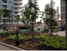 Whale Marina Condo - 2561-11 อัพเดท การก่อสร้าง - 2