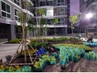 Whale Marina Condo - 2561-11 อัพเดท การก่อสร้าง - 3